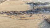 125+/- AC North Rd Road - Photo 8