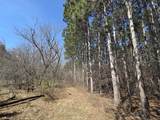 Lot 11 Ptarmigan Drive - Photo 17