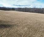 19.69 acres Pine Street - Photo 11