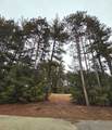 913 Forest Trail - Photo 1