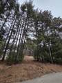 913 Forest Trail - Photo 3