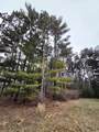 913 Forest Trail - Photo 5