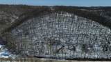  79 Acres, Byers Rd - Photo 26