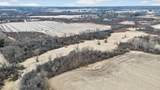 Hwy 81 48.7 Acres - Photo 8