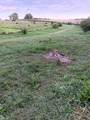 13405 State Road 81 - Photo 32