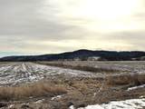 104.4+/- acres Morgan Drive - Photo 20