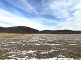 104.4+/- acres Morgan Drive - Photo 22