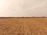 4.38 M/L Acres County Road A - Photo 17