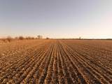 207.55 &Acirc;&plusmn; Acres U.S. Highway 51 & Slinde Road - Photo 11