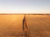 207.55 &Acirc;&plusmn; Acres U.S. Highway 51 & Slinde Road - Photo 17