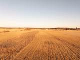 207.55 &Acirc;&plusmn; Acres U.S. Highway 51 & Slinde Road - Photo 23