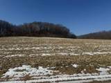 189.54 Acres Eli Valley Road - Photo 1