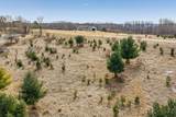 Lot 1083 Miller Road - Photo 6