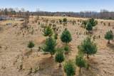 Lot 1083 Miller Road - Photo 9