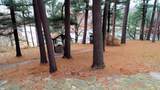 55 Bowman Road - Photo 68