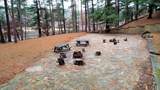 55 Bowman Road - Photo 71