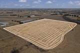 66.42 Acres North Of Town Of Dodgeville - Photo 7