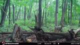 E11327 Shady Lane Road - Photo 24