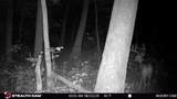 E11327 Shady Lane Road - Photo 25