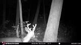 E11327 Shady Lane Road - Photo 26