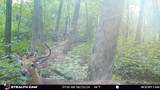 E11327 Shady Lane Road - Photo 27
