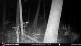 E11327 Shady Lane Road - Photo 6