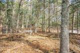 Lot 39 Badger Lane - Photo 12