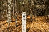 Lot 39 Badger Lane - Photo 2