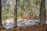 Lot 39 Badger Lane - Photo 31