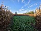 0000 Bennett Lane - Photo 83