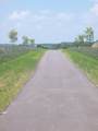 L10 Karolina Way - Photo 11