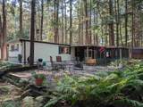 Lot 14P Shady Pine Path - Photo 1