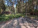 Lot 14P Shady Pine Path - Photo 26