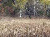  Wilcox Road - Photo 21