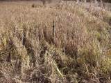  Wilcox Road - Photo 33