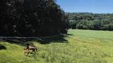 6604 Shower Road - Photo 5