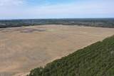 281.68 Acres Buttercup Ave & 16th Avenue - Photo 13