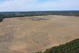 281.68 Acres Buttercup Ave & 16th Avenue - Photo 14