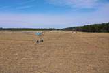 281.68 Acres Buttercup Ave & 16th Avenue - Photo 17