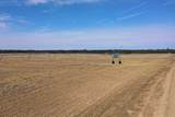 281.68 Acres Buttercup Ave & 16th Avenue - Photo 18