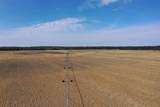 281.68 Acres Buttercup Ave & 16th Avenue - Photo 19