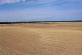 281.68 Acres Buttercup Ave & 16th Avenue - Photo 20