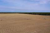 281.68 Acres Buttercup Ave & 16th Avenue - Photo 21