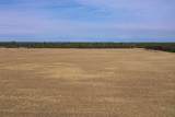281.68 Acres Buttercup Ave & 16th Avenue - Photo 23