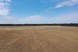 281.68 Acres Buttercup Ave & 16th Avenue - Photo 24