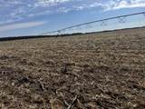 281.68 Acres Buttercup Ave & 16th Avenue - Photo 25
