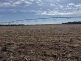 281.68 Acres Buttercup Ave & 16th Avenue - Photo 26