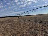 281.68 Acres Buttercup Ave & 16th Avenue - Photo 27