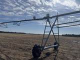 281.68 Acres Buttercup Ave & 16th Avenue - Photo 28