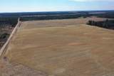 281.68 Acres Buttercup Ave & 16th Avenue - Photo 29